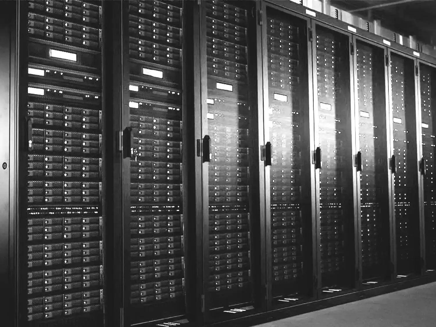 services_data