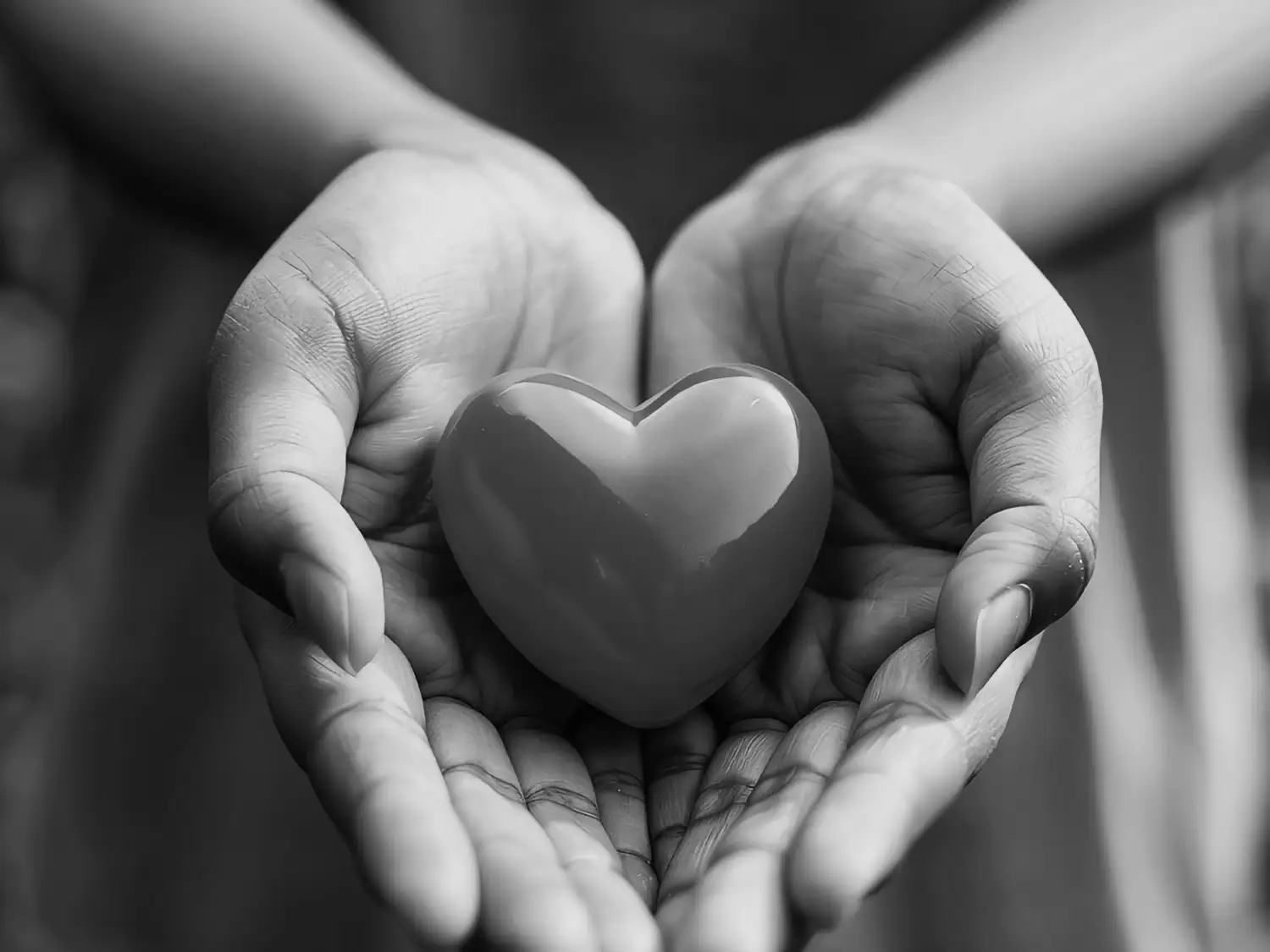 Miego Non Profit Services