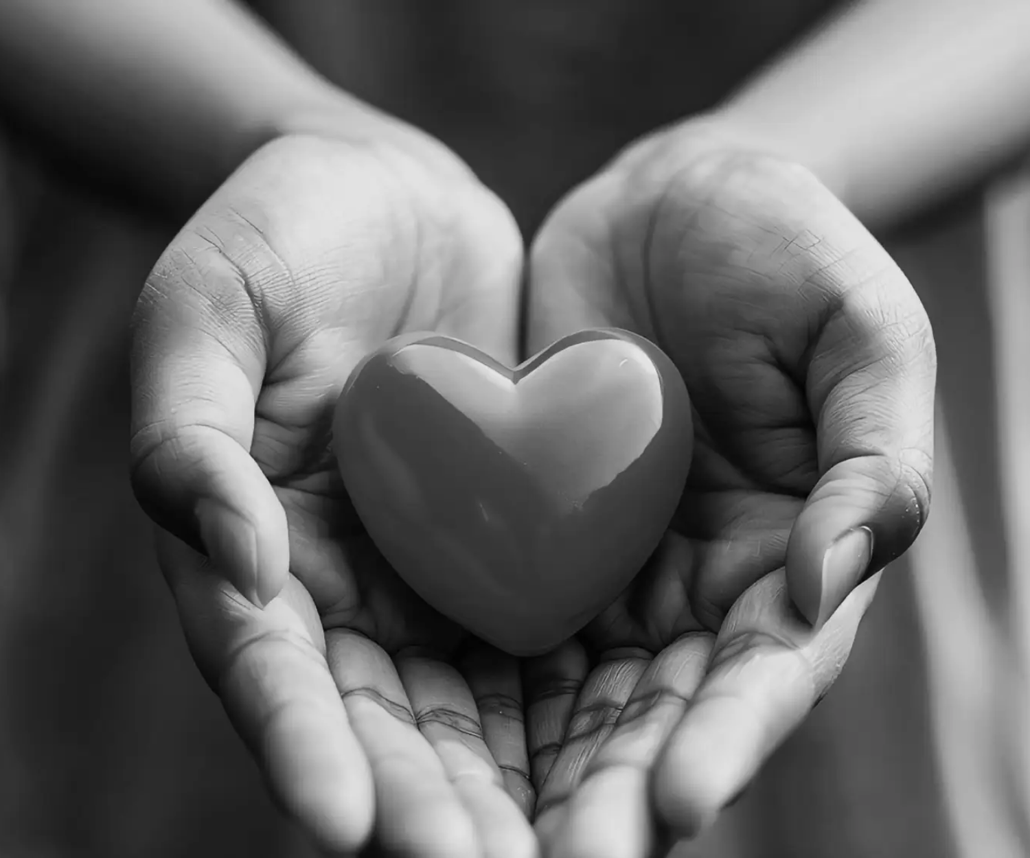 Miego Non Profit Services